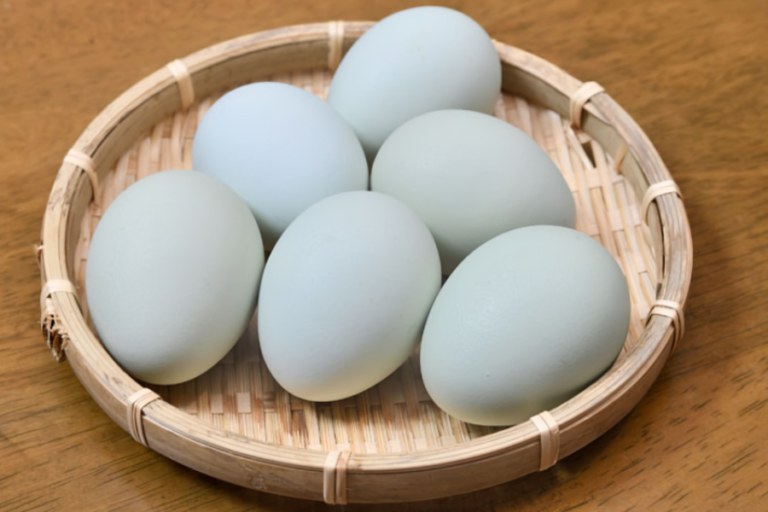 heirloom blue eggs 12524