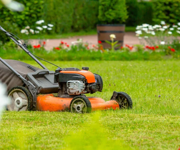Sea Breeze Lawn Care