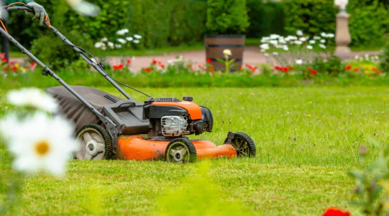 Sea Breeze Lawn Care