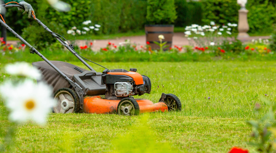 Sea Breeze Lawn Care