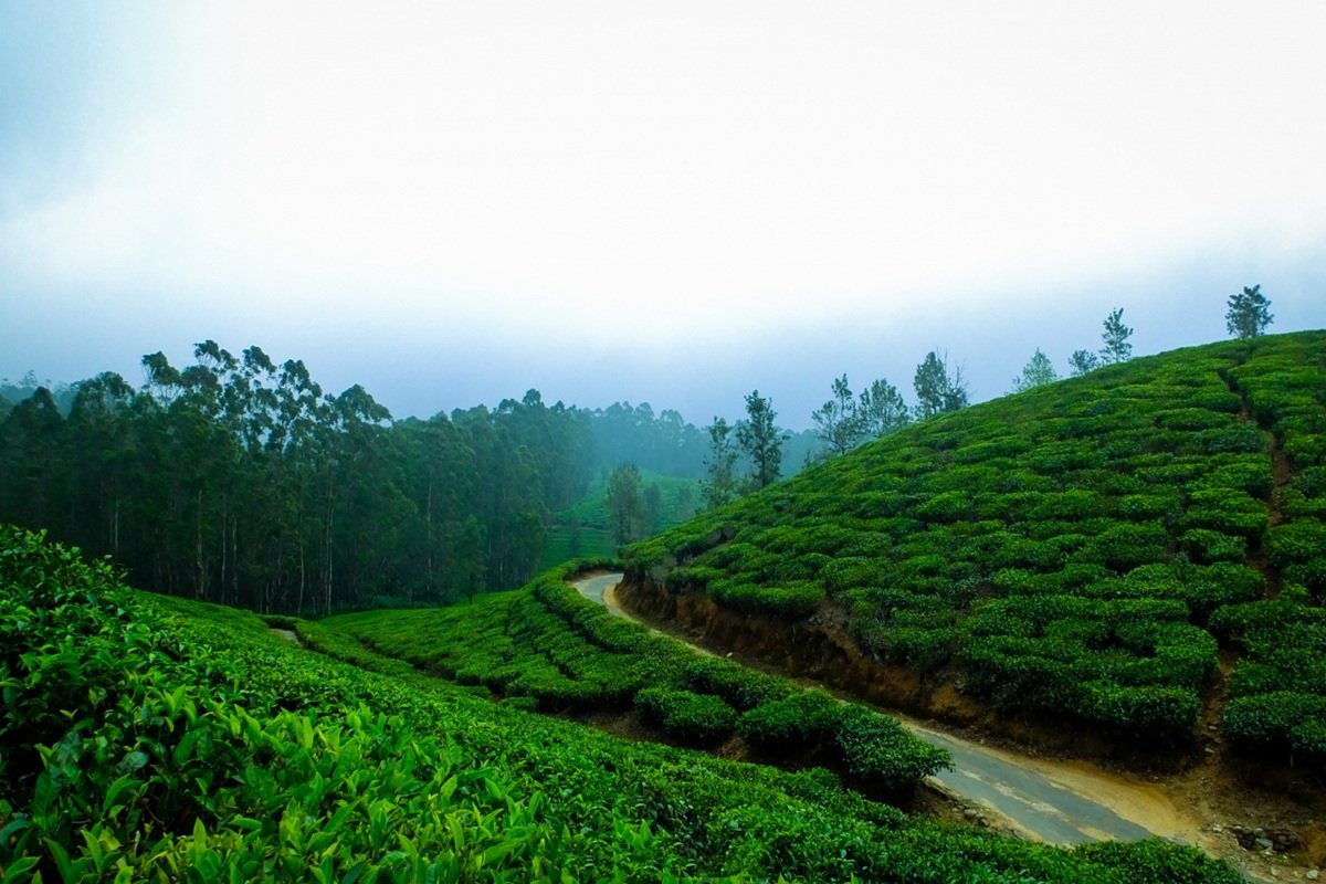 Kerala Tourism (2)