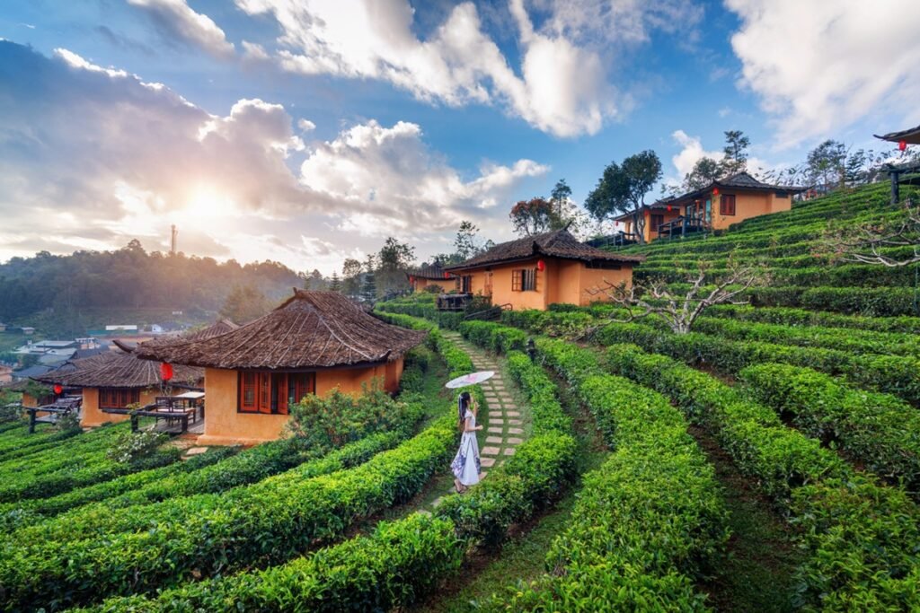 Kerala Tourism (3)